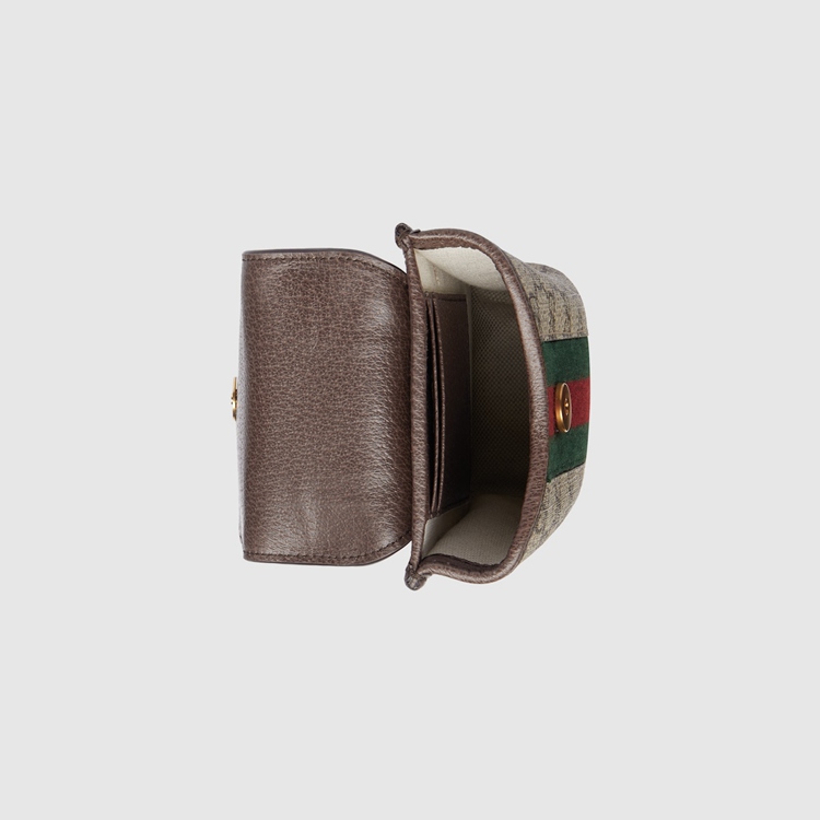 746307.96IWT.8745.013.100.0000.Light Ophidia GG mini bag